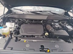 Haval Big Dog 1.5T DCT Border Collie Edition - фото 14