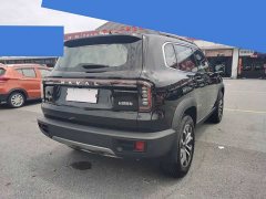 Haval Big Dog 1.5T DCT Border Collie Edition - фото 5