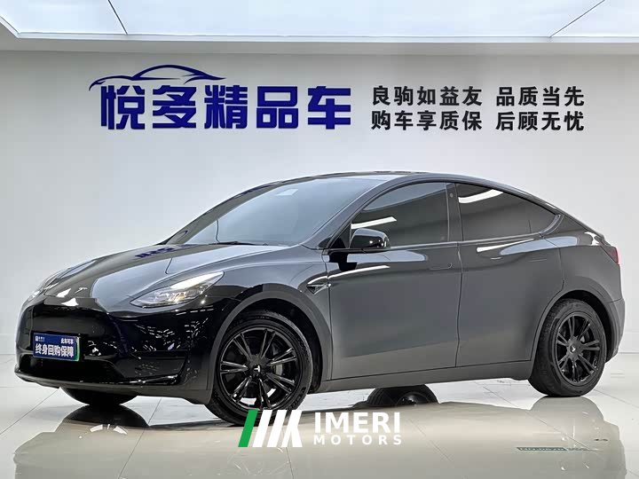 Tesla Model Y rear-wheel drive version - автомобиль из Китая