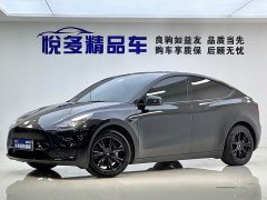 Tesla Model Y rear-wheel drive version - фото 1