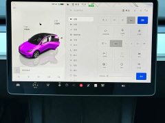 Tesla Model Y rear-wheel drive version - фото 3