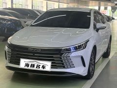 BYD Destroyer 05 Honor Edition DM-i 55KM Luxury Type - фото 1