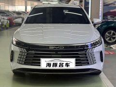 BYD Destroyer 05 Honor Edition DM-i 55KM Luxury Type - фото 2