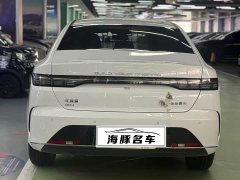 BYD Destroyer 05 Honor Edition DM-i 55KM Luxury Type - фото 4