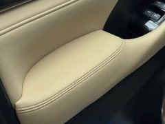 BYD Wilfa 2020 Shuangqing 2.5L HV Premium Edition - фото 8