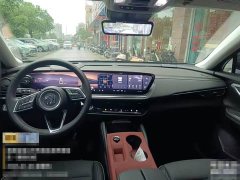 Lexus Envision Plus Envision Plus 28T two-wheel drive platinum version - фото 5