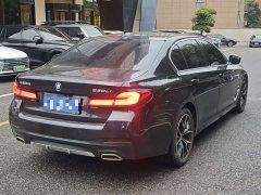 BMW 5 Series Facelift Three 530Li Exclusive M Sports Package - фото 5