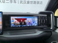 Fangchengbao Leopard 5 125KM Intelligent Driving Ultra Edition - фото 16