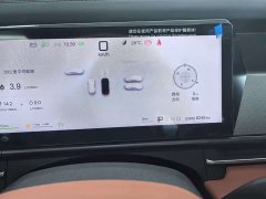 Lexus Tang L DM 200KM four-wheel drive lidar flagship - фото 18