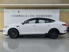 BYD Qin PLUS EV Intelligent Driving Edition 510KM Leading Trim - фото 3