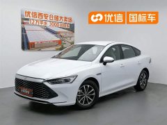 BYD Qin PLUS Champion Edition DM-i 55KM Leading Type - фото 1