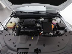 BYD Qin PLUS Champion Edition DM-i 55KM Leading Type - фото 6