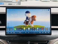 Denza D9 2022 DM-i 945 luxury - фото 15