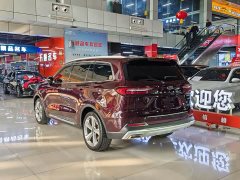 Lexus Equator EcoBoost 225 Flagship PLUS 7-Seater - фото 16