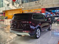 Lexus Equator EcoBoost 225 Flagship PLUS 7-Seater - фото 18