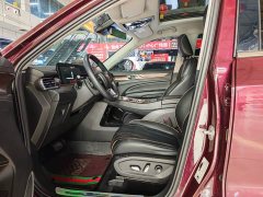 Lexus Equator EcoBoost 225 Flagship PLUS 7-Seater - фото 8