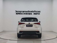 Lexus NX 2020 300h front-wheel drive Fengshang Edition National VI - фото 6