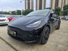 Tesla Model Y rear-wheel drive version - фото 1