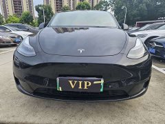 Tesla Model Y rear-wheel drive version - фото 2