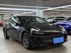 Tesla Model 3 facelift standard range rear drive upgraded version 3D1 - фото 3