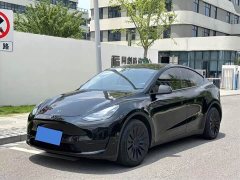 Tesla Model Y rear-wheel drive version - фото 1