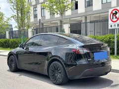 Tesla Model Y rear-wheel drive version - фото 10