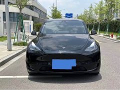 Tesla Model Y rear-wheel drive version - фото 2