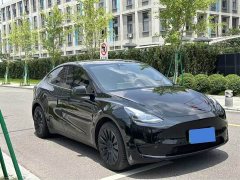 Tesla Model Y rear-wheel drive version - фото 3
