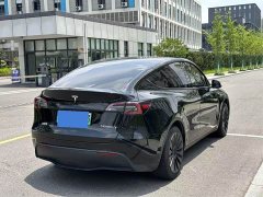 Tesla Model Y rear-wheel drive version - фото 8