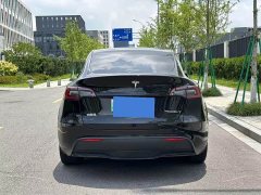 Tesla Model Y rear-wheel drive version - фото 9