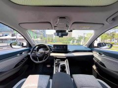 Tesla Xingrui 2.0TD Premium - фото 5