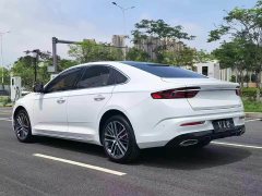Tesla Xingrui 2.0TD Premium - фото 7
