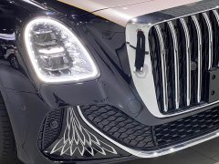 Hongqi Golden Sunflower Guoya 2024 4.0T V8 version - фото 10