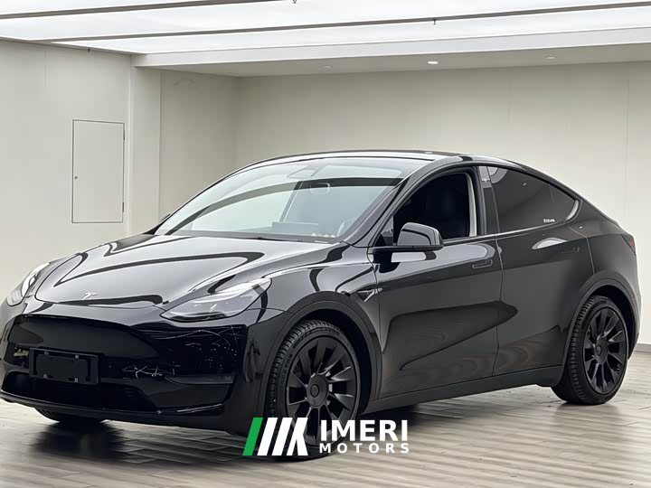 Tesla Model Y standard range rear-wheel drive version - автомобиль из Китая