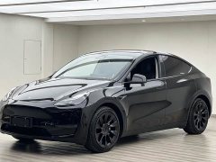Tesla Model Y standard range rear-wheel drive version - фото 1