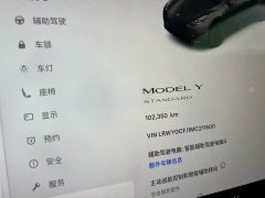 Tesla Model Y standard range rear-wheel drive version - фото 14