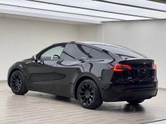 Tesla Model Y standard range rear-wheel drive version - фото 19