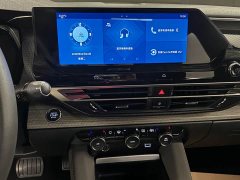 Lexus Versailles C5 - фото 7