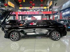Ford EVOS 2022 EcoBoost 245 Sports Edition - фото 13