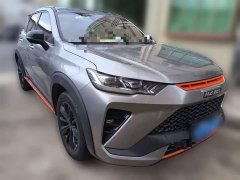 Haval H6S 2022 2.0T two-wheel drive smart running version - фото 3