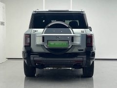 Fangchengbao Leopard 8 2025 Zhiyong flagship version 7 seats - фото 4