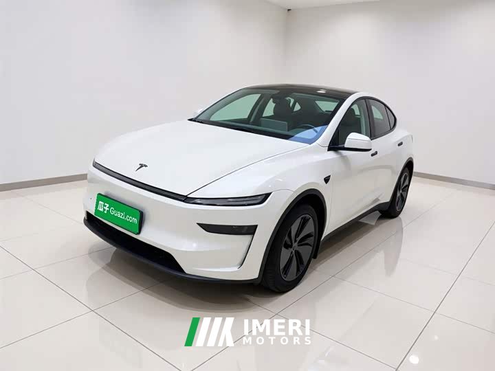 Tesla Model Y rear-wheel drive version - автомобиль из Китая