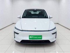 Tesla Model Y rear-wheel drive version - фото 2