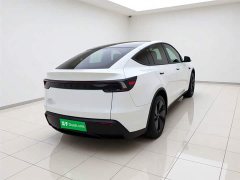 Tesla Model Y rear-wheel drive version - фото 4