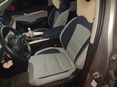 Tesla Xingrui facelift 2.0TD premium - фото 16