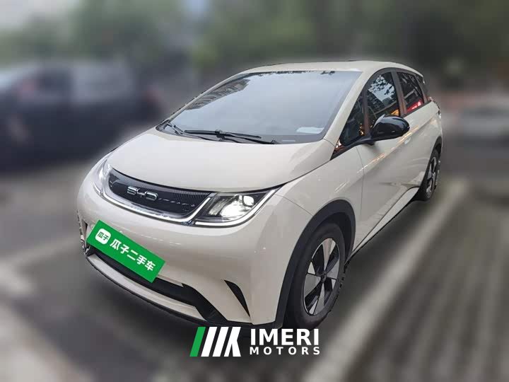 BYD Dolphin 420km Free Edition - автомобиль из Китая