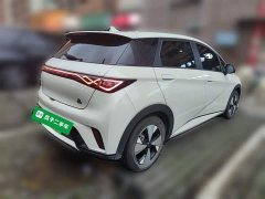 BYD Dolphin 420km Free Edition - фото 4