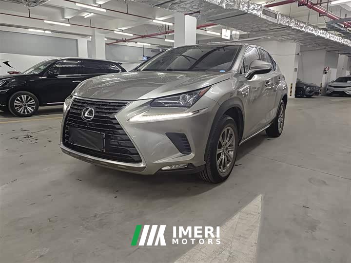 Lexus NX 2020 200 FWD Fengyi Edition National VI - автомобиль из Китая
