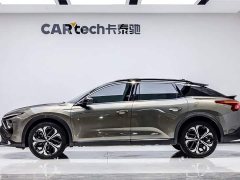 Lexus Versailles C5 X 2021 1.6T Brilliant - фото 3