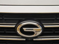 Trumpchi M8 2023 Lingxiu Series 390T Premium Edition - фото 3